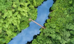 酷暑时节觅清凉 走进避暑胜地醉山野缩略图