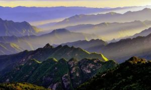 陕西省发布第1号总林长令缩略图