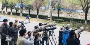众多摄影师携“长枪短炮”齐聚汉中，竟然是为了拍“它们”！缩略图