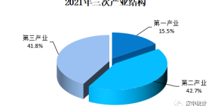 【权威发布】汉中市2021年国民经济和社会发展统计公报缩略图