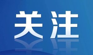 汉中市养老诈骗线索举报方式公布缩略图