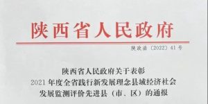 喜报！宁强县荣获两个省级奖项缩略图