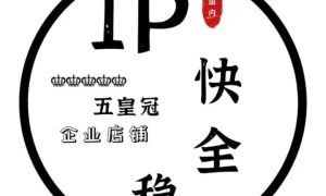 公安部：清理整治动态IP代理服务乱象缩略图
