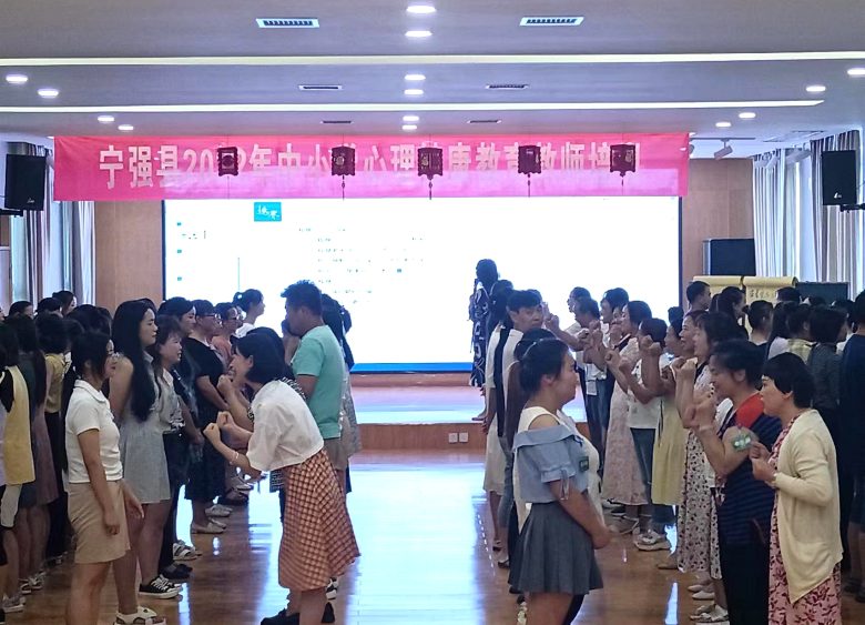 宁强县成功开展中小学教师心理健康公益培训插图4