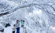 汉中市“三项措施”抓好土壤污染防治工作缩略图