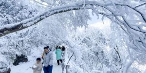 汉中市“三项措施”抓好土壤污染防治工作缩略图