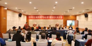 汉中市红嘴鸥保护协会成立缩略图