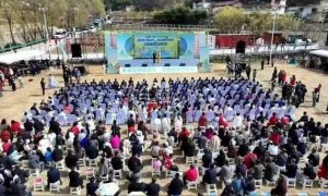 2025最美油菜花海佛坪春季旅游消费季系列活动启动缩略图