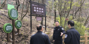 当好秦岭生态卫士，筑牢安全屏障，绘就五龙洞生态旅游新画卷缩略图