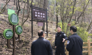 当好秦岭生态卫士，筑牢安全屏障，绘就五龙洞生态旅游新画卷缩略图