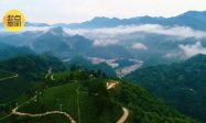 汉中一处宛如璞玉的秘境：镇巴楮溪源景区缩略图