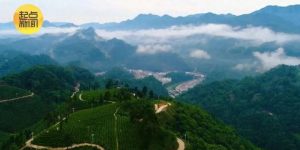 汉中一处宛如璞玉的秘境：镇巴楮溪源景区缩略图