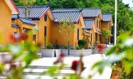 汉江源景区：在绿水青山间奏响旅游发展强音缩略图