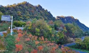 秦巴深山秋正好，登草川子九鼎山赏彩林、探石林缩略图
